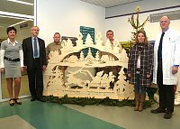 Weihnachtliches Krankenhaus (SHK)