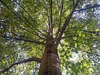 Fortbildungsprogramm  (Anne Hagedorn / SHK)