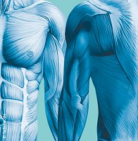 Spastik (wirsinds / SHK)