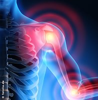 &Ouml;ffentliche Vortragsreihe (wirsinds/SHK)