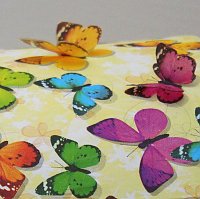 Schmetterlingskinder (Anne Hagedorn / SHK)