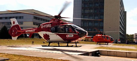 Heli (Foto: nnz-online)